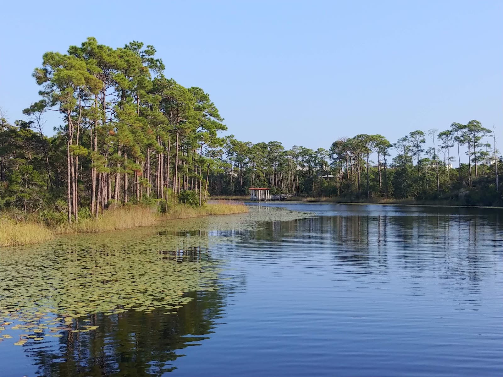 Western Lake - Image 1