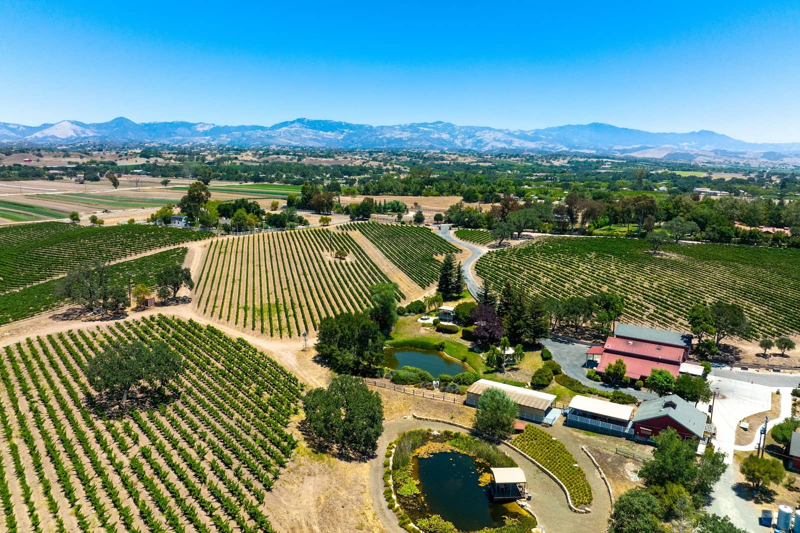 Estate Cabernet Sauvignon