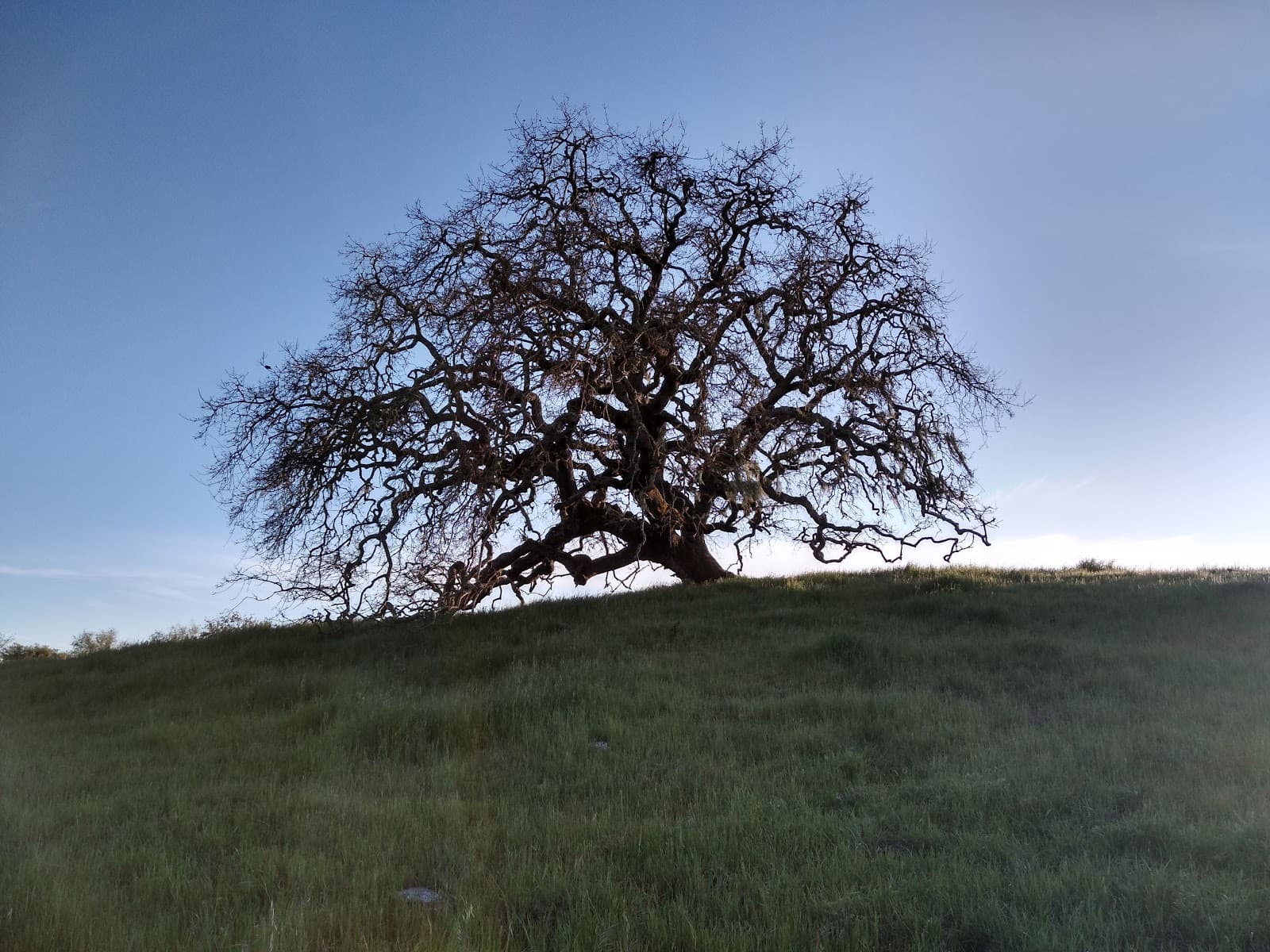 Crane Creek Regional Park - Image 1