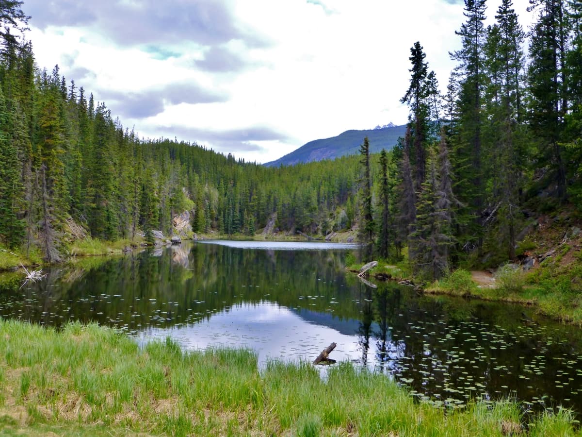 Yellowhead Pass - Image 1