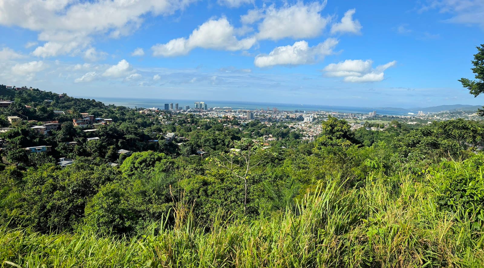 Lady Young Lookout - Image 1