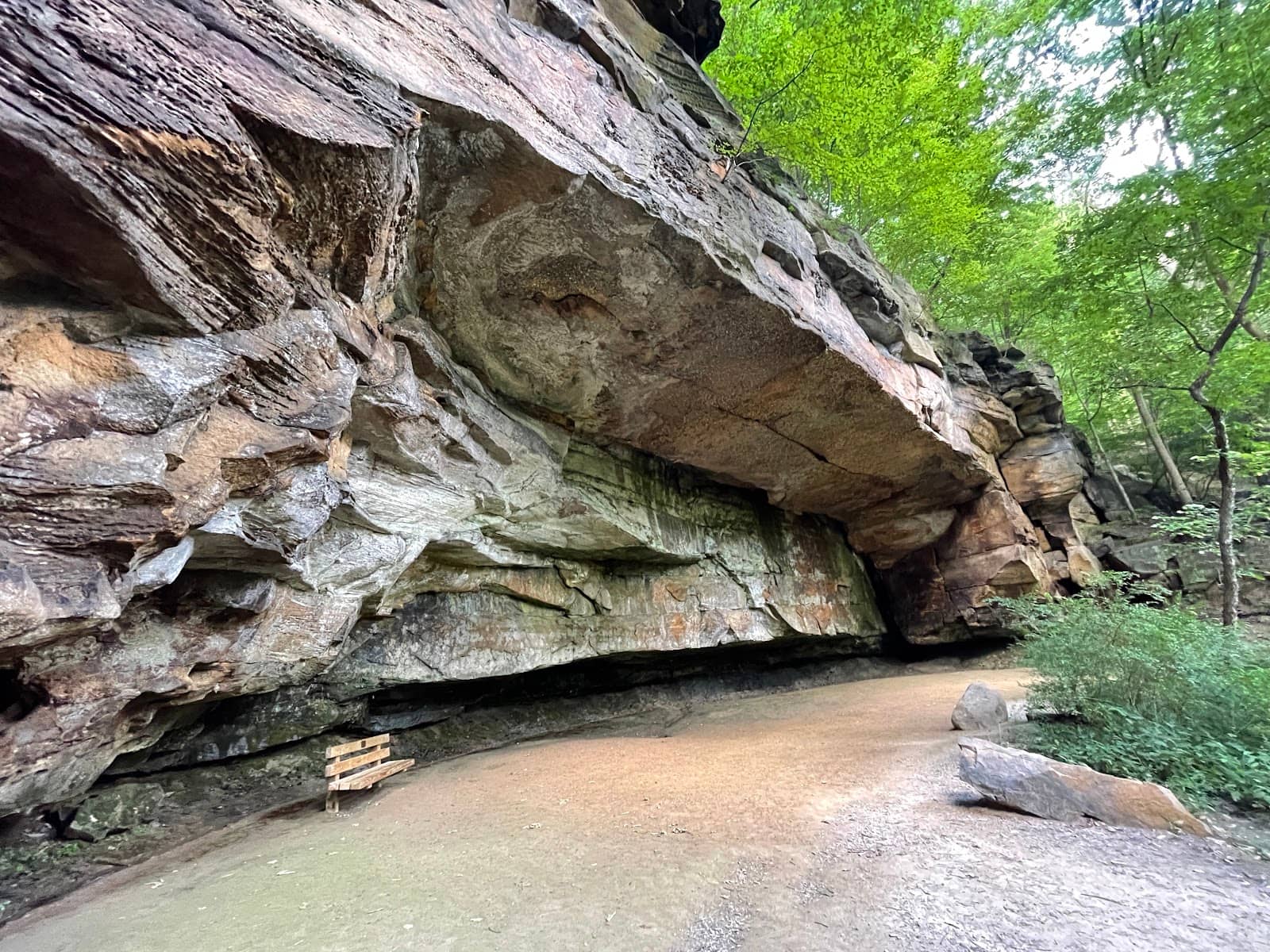 Nearby Dam and Falls
