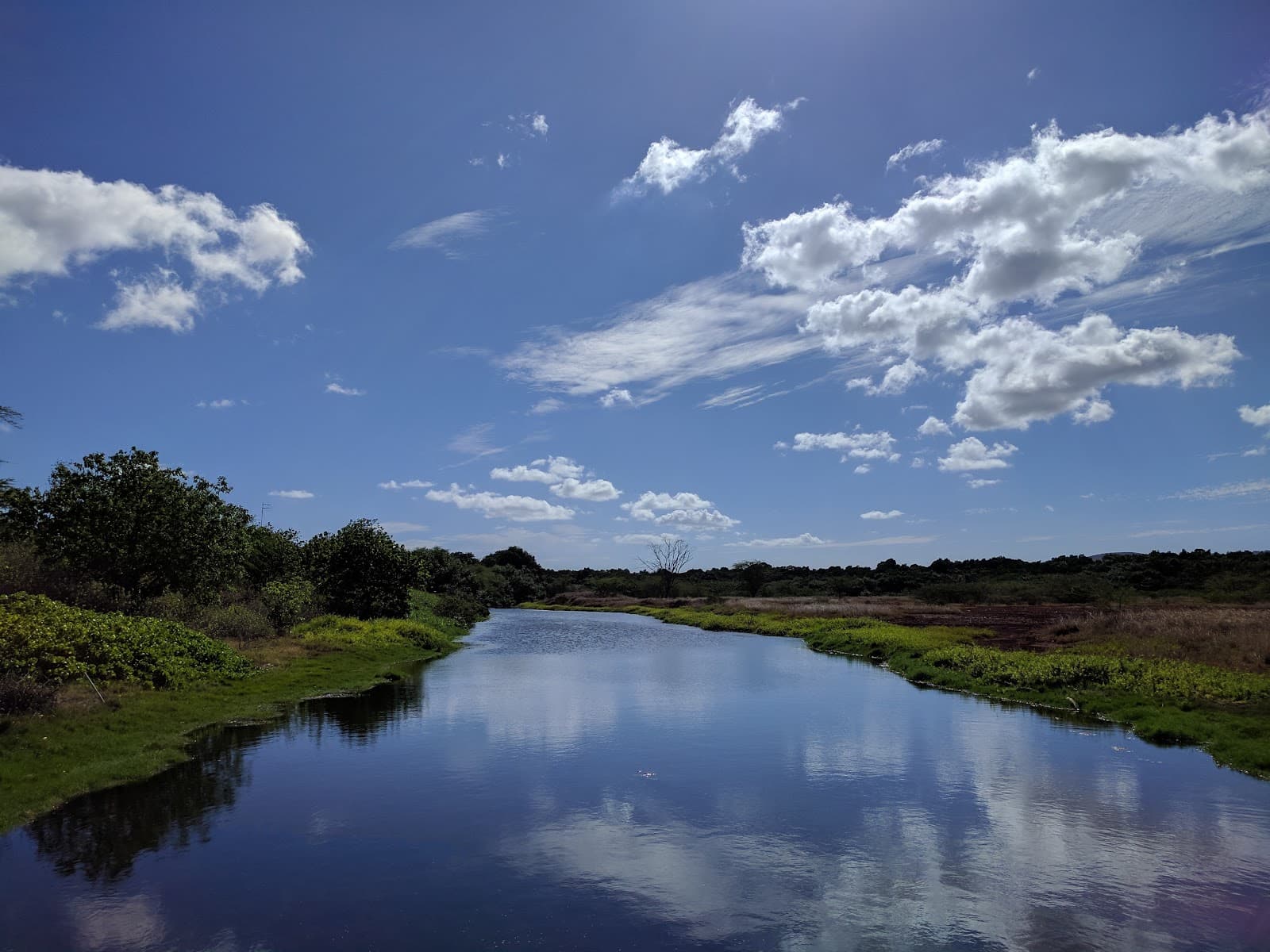 Pouhala Marsh Wildlife Sanctuary - Image 1