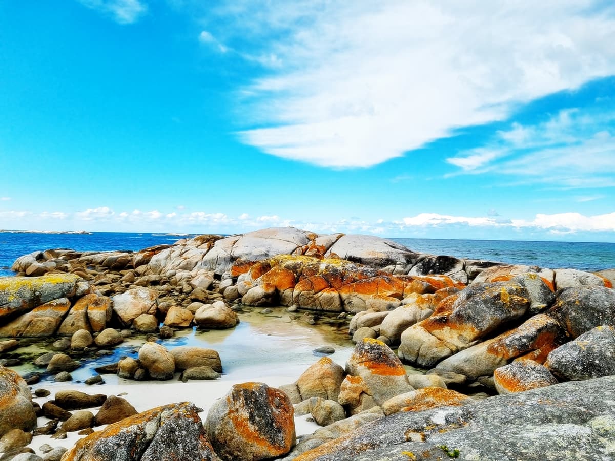 The Gardens (Bay of Fires) - Image 1