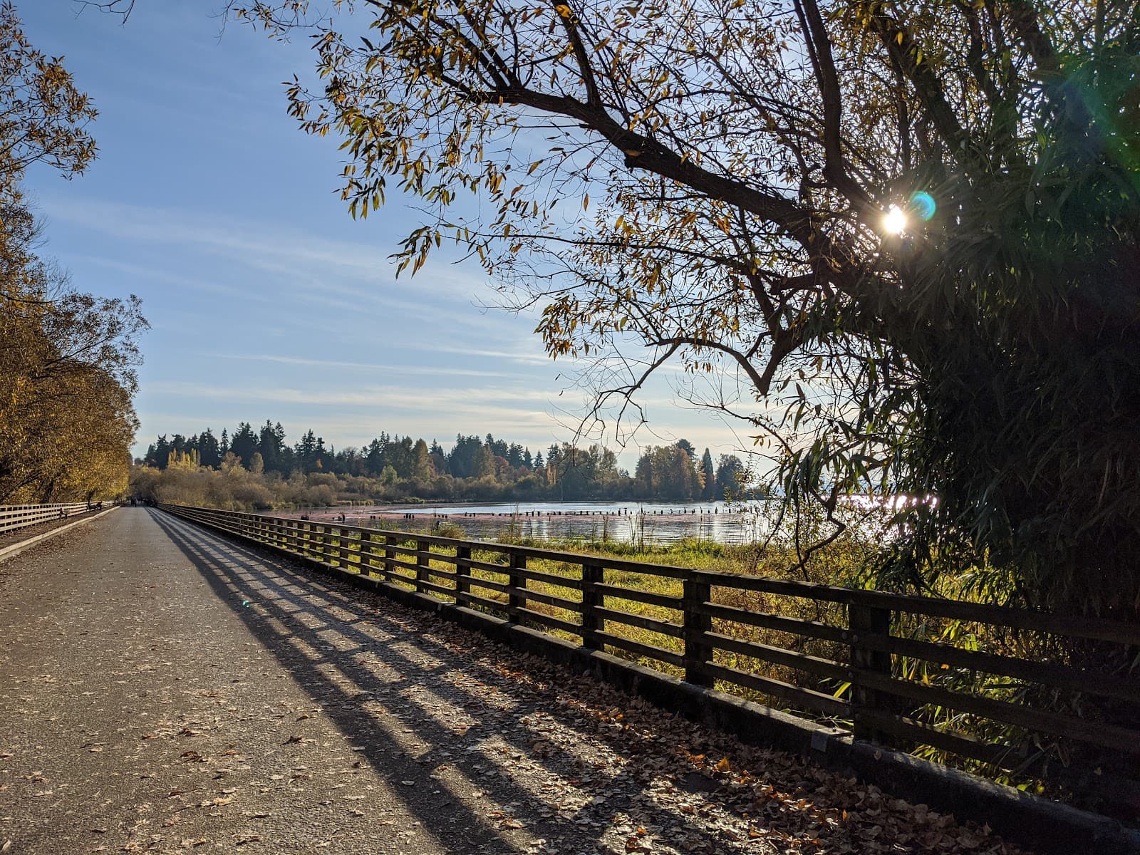 Juanita Village - Image 1