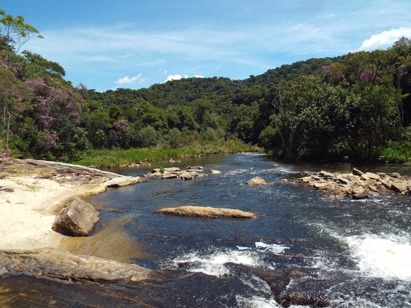 Núcleo Santa Virgínia (Serra do Mar State Park) - Image 1
