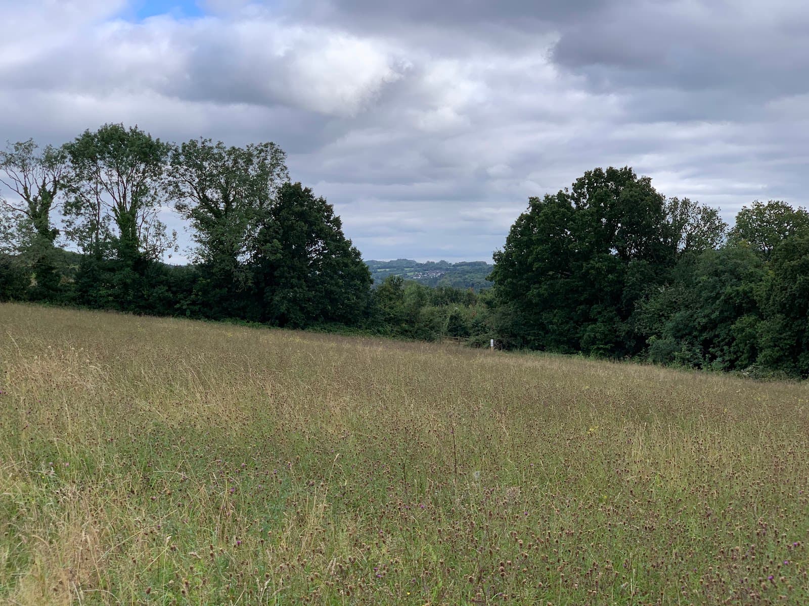Riddlesdown Common & Quarry - Image 1