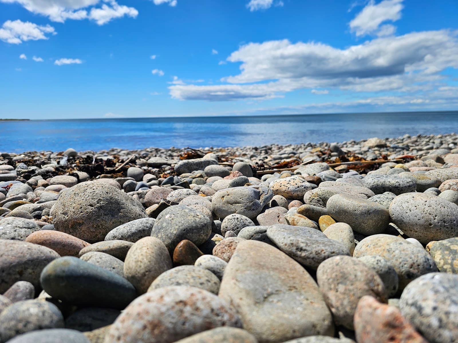 17-Mile Drive Scenic Route