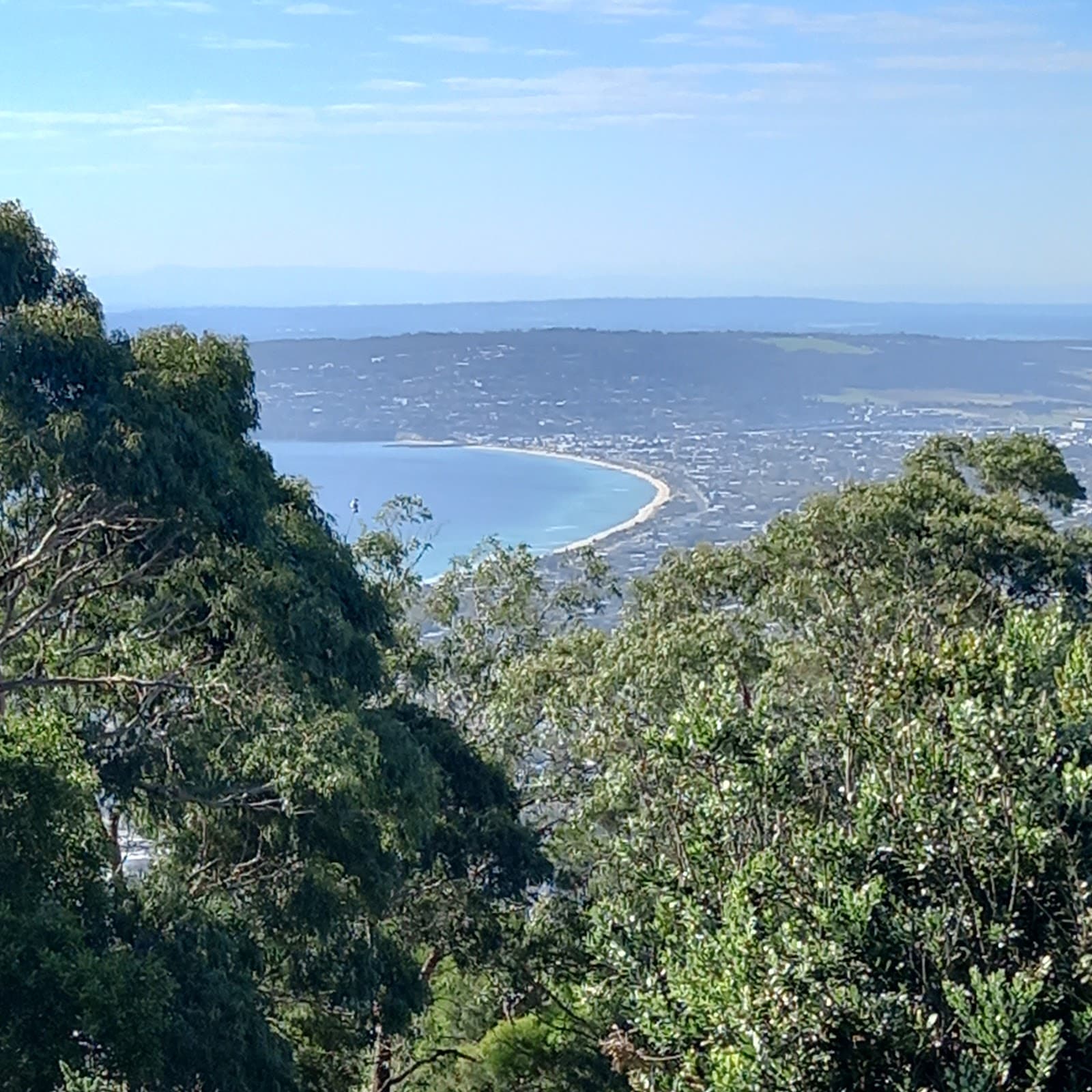 Arthurs Seat Summit Lookout - Image 1