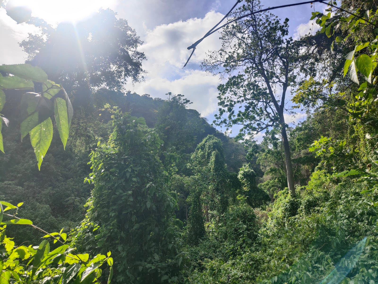 Chocoyero–El Brujo Nature Reserve - Image 1