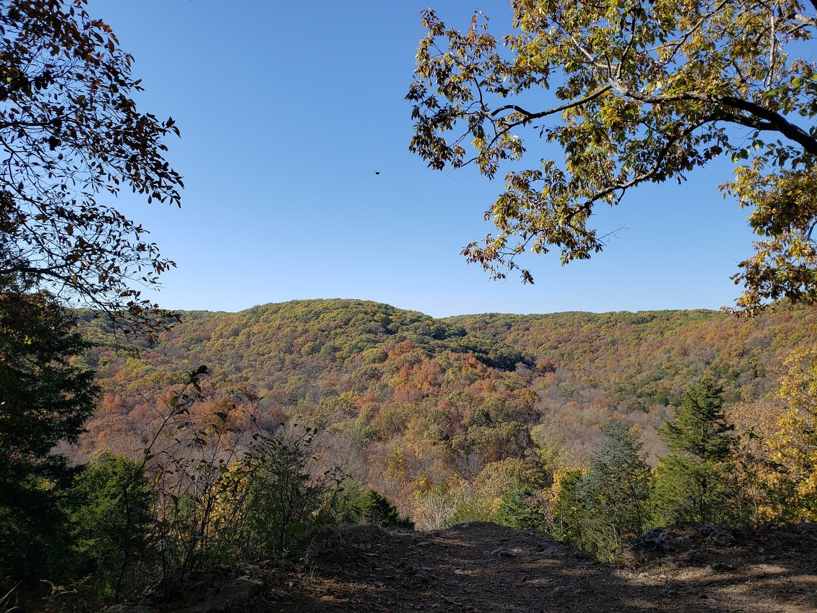 Greensfelder County Park - Image 1
