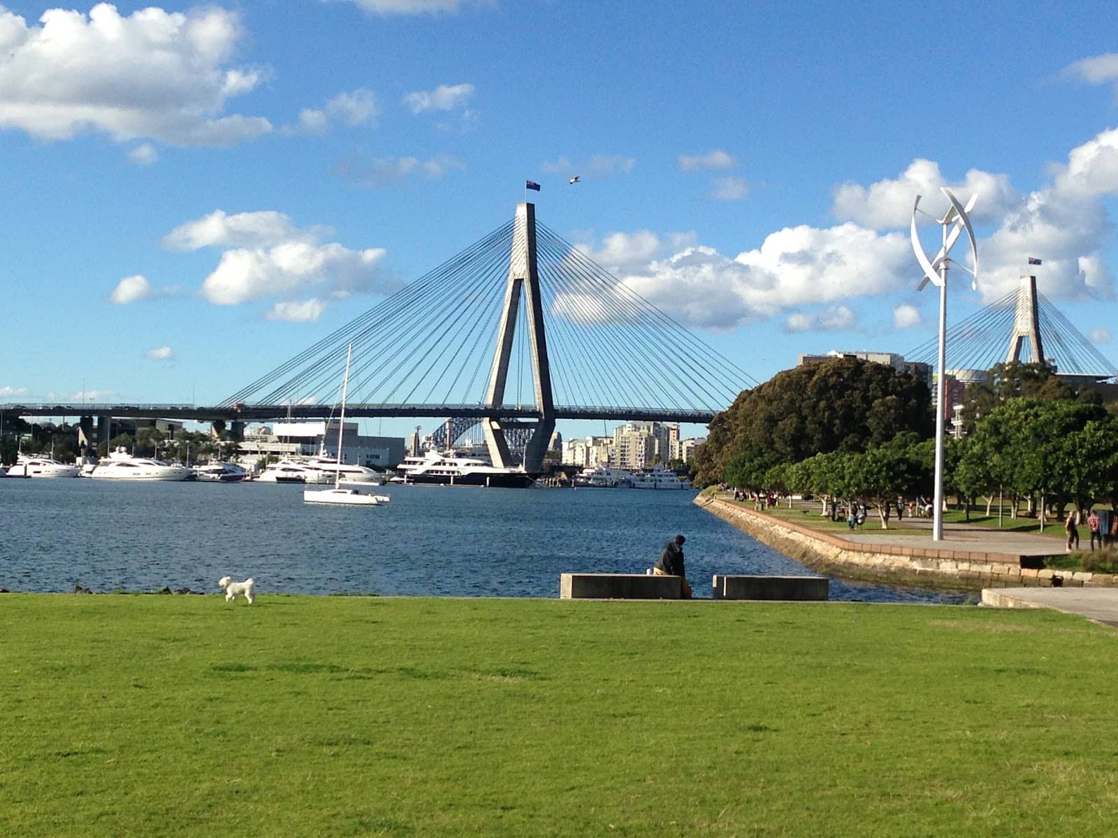 Anzac Bridge Views