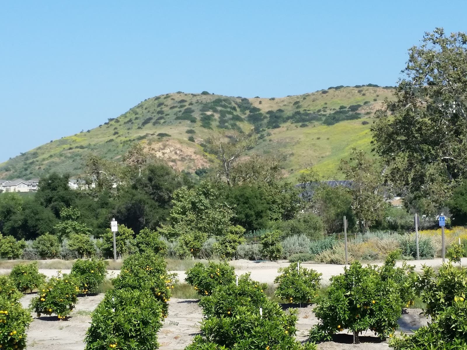 Reata Park and Event Center - Image 1