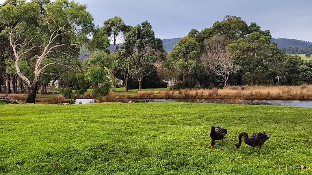 Huon Valley Tasmania - Image 1
