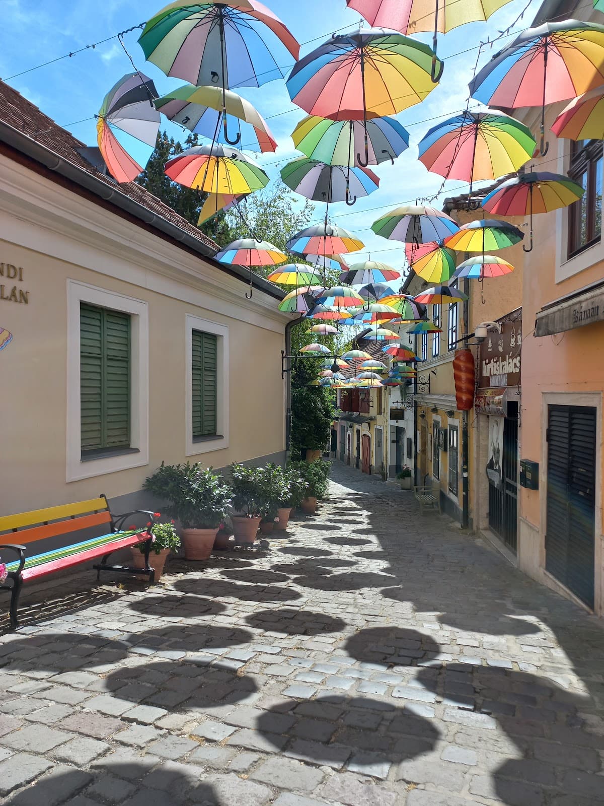 Danube Bend Bike Path (Szentendre) - Image 1