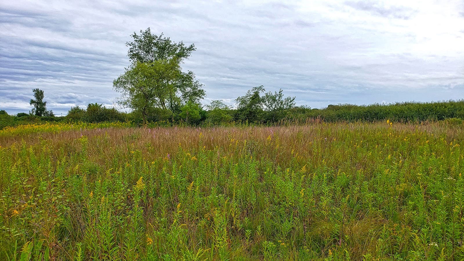 Chiwaukee Prairie State Natural Area - Image 1