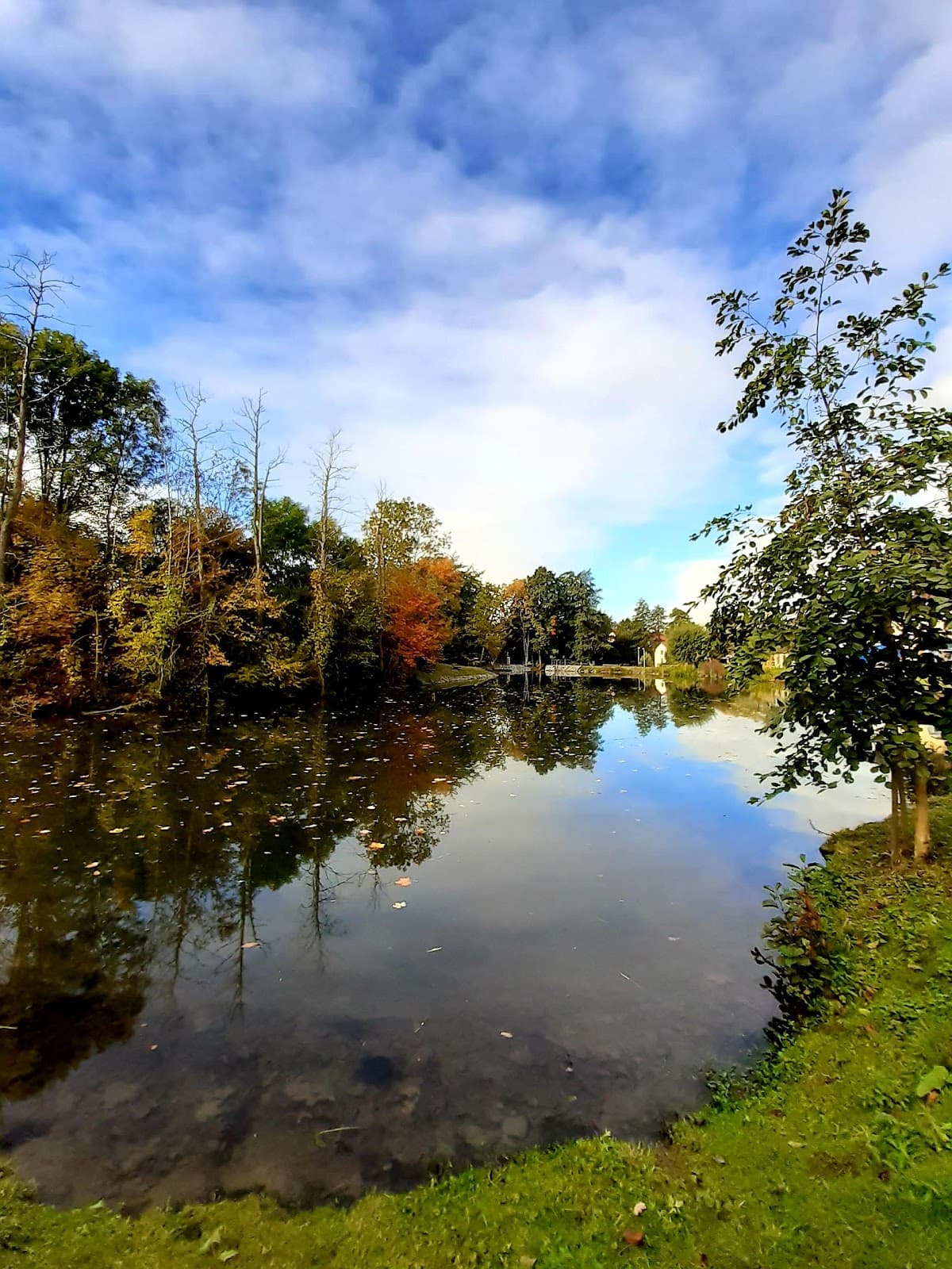 Královice - Image 1