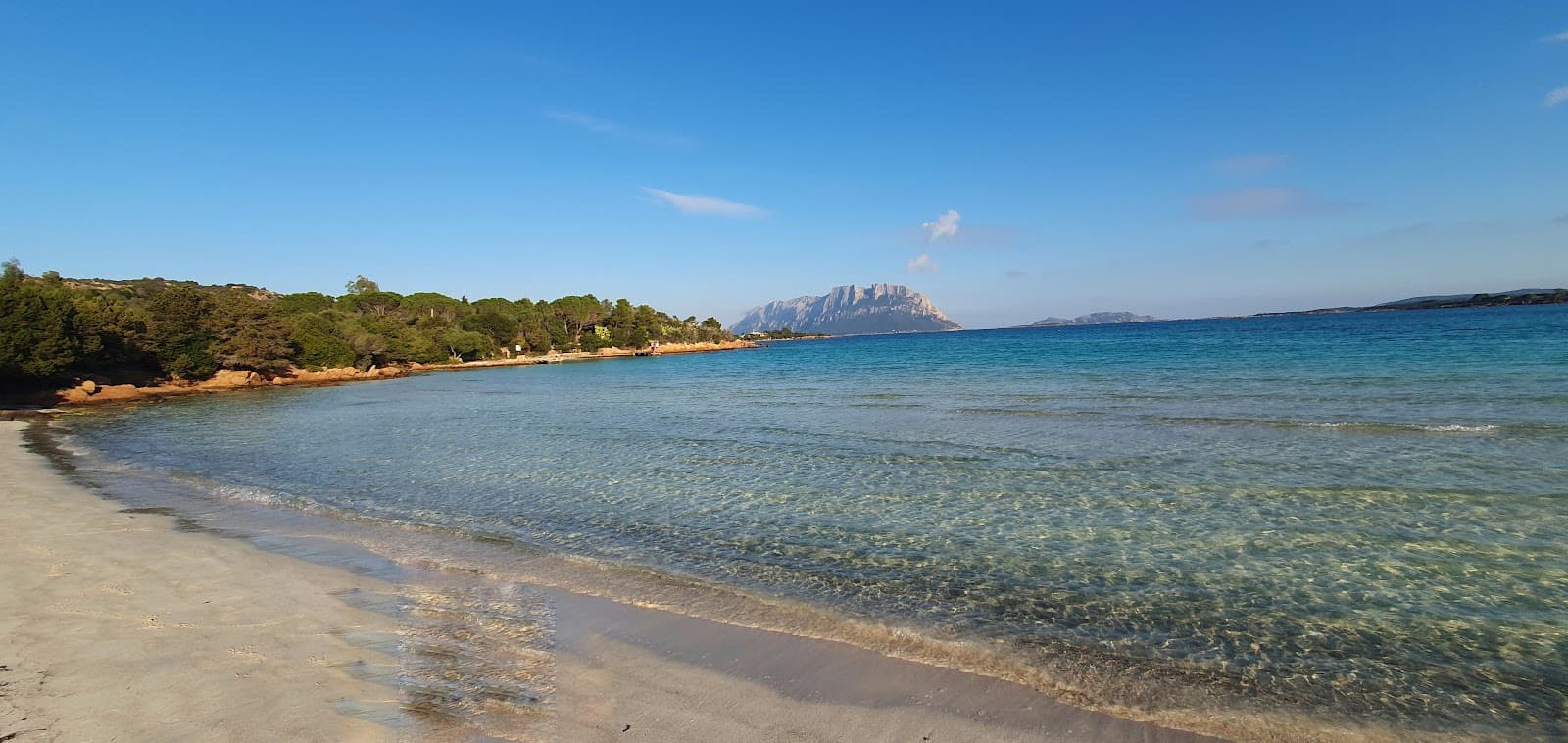 Murta Maria neighborhood - Image 1