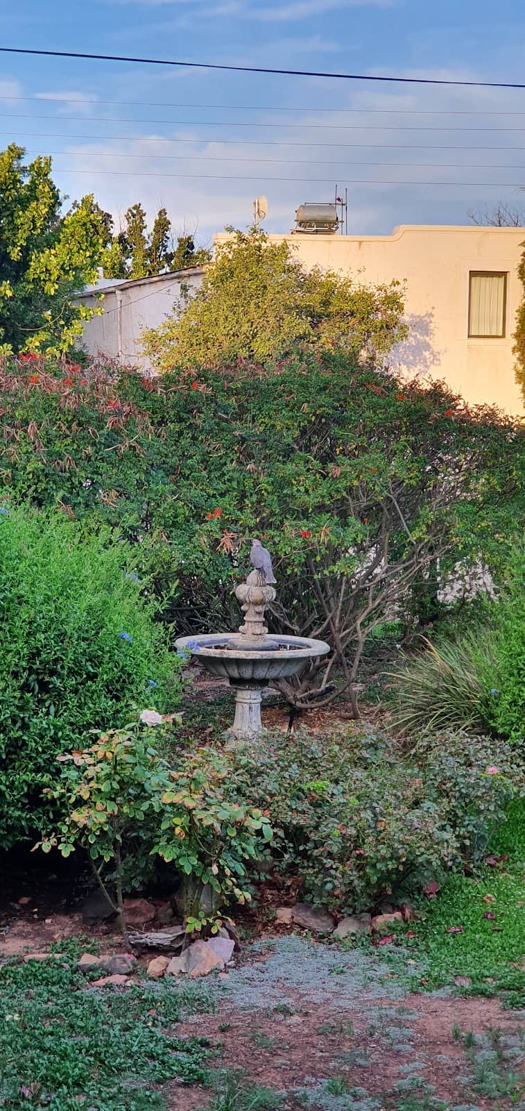 Iconic Fashion Choices