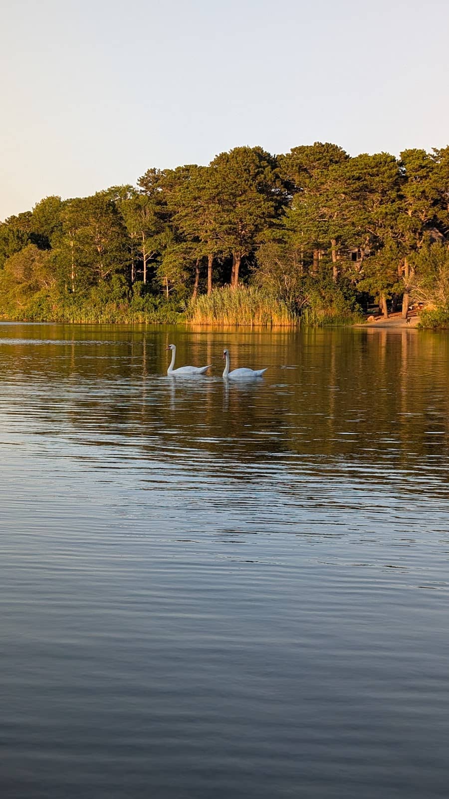 Scenic Natural Environment