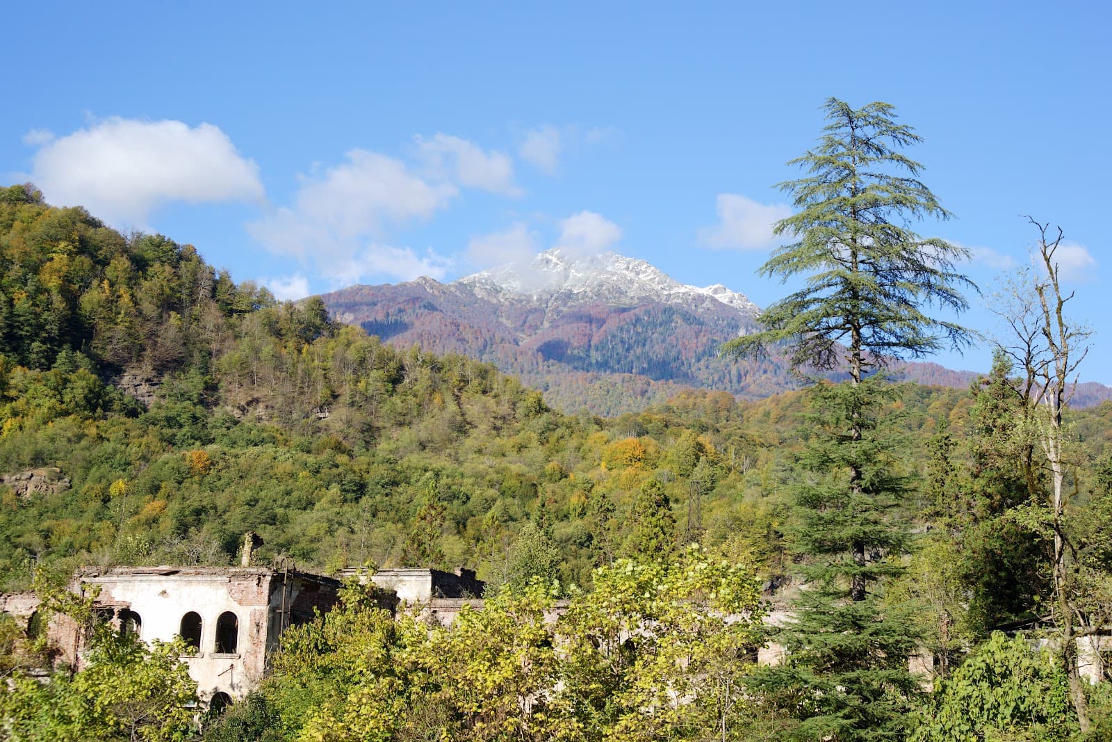 Akarmara Ghost Town - Image 1