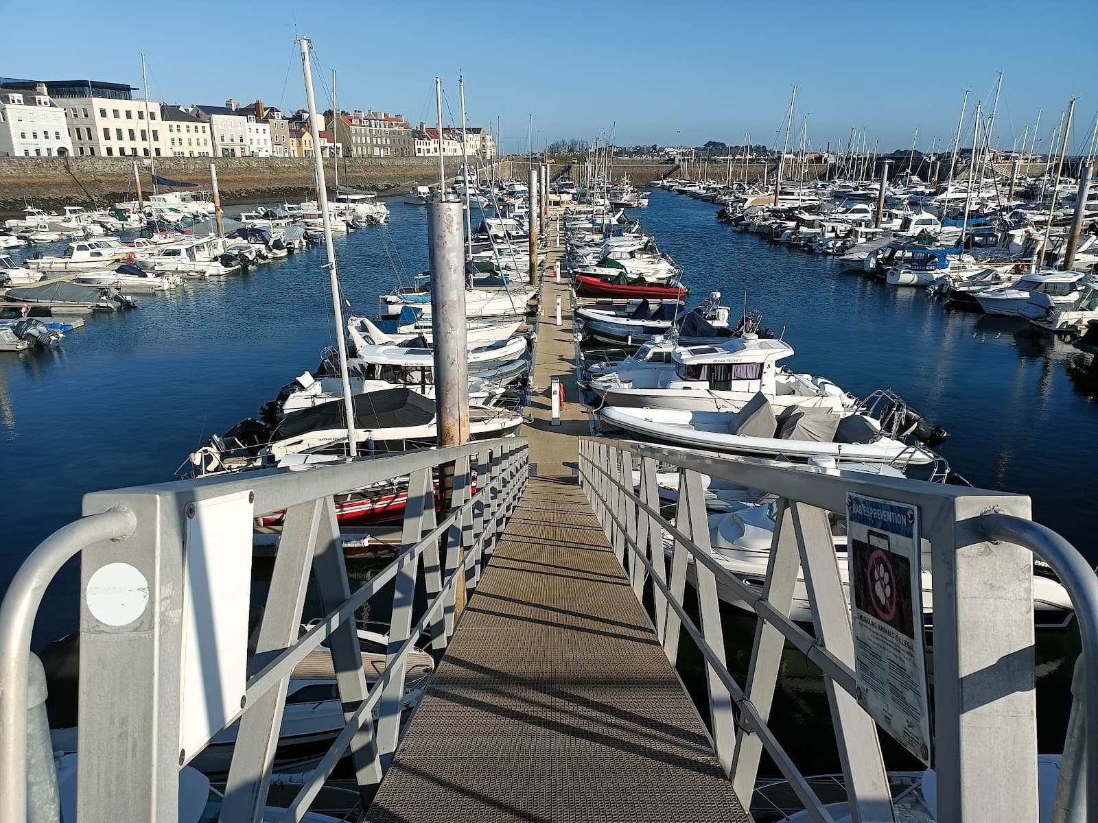 QEII Marina - Image 1