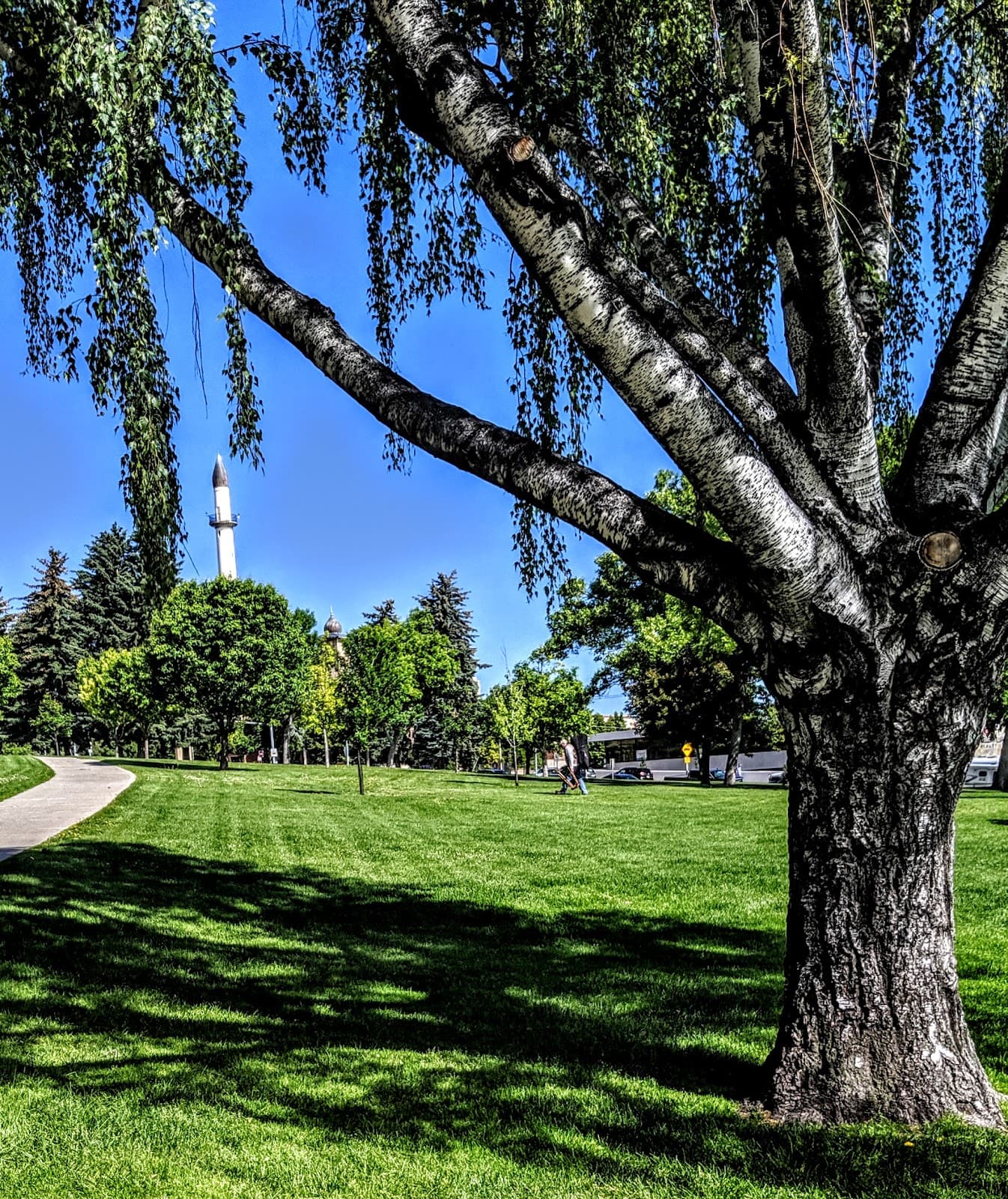 Women's Park - Image 1