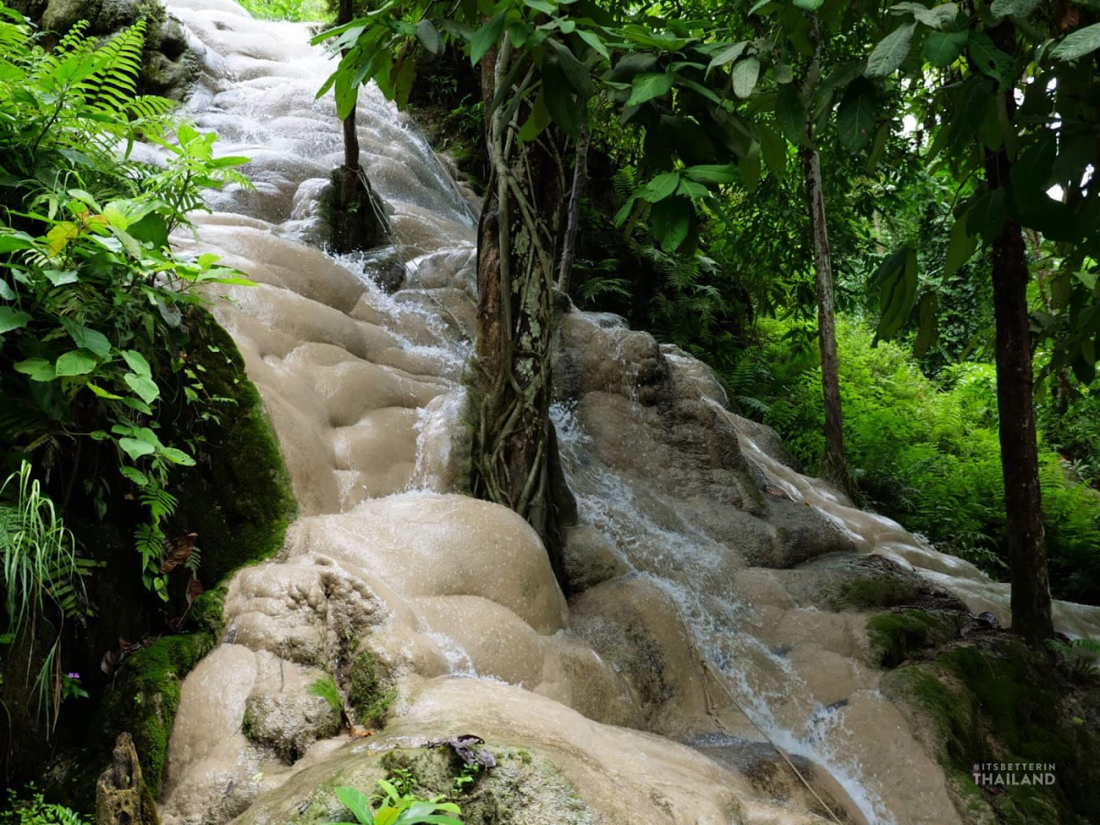 Bua Tong Sticky Waterfall Chiang Mai - Image 1