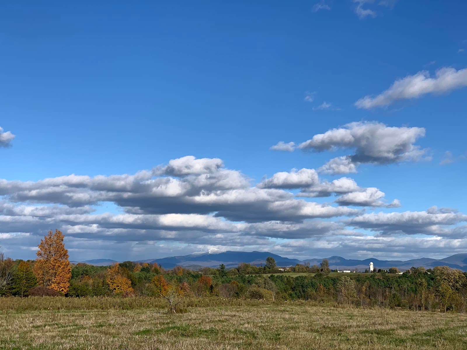 Wheeler Nature Park - Image 1