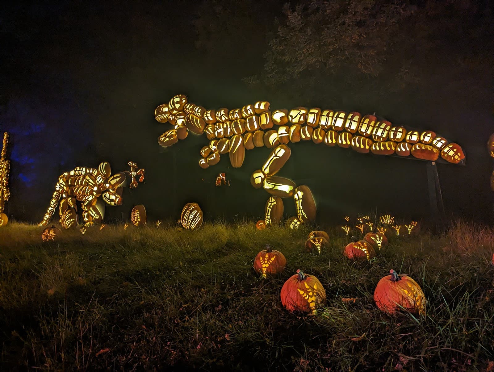 Van Cortlandt Manor - Image 1