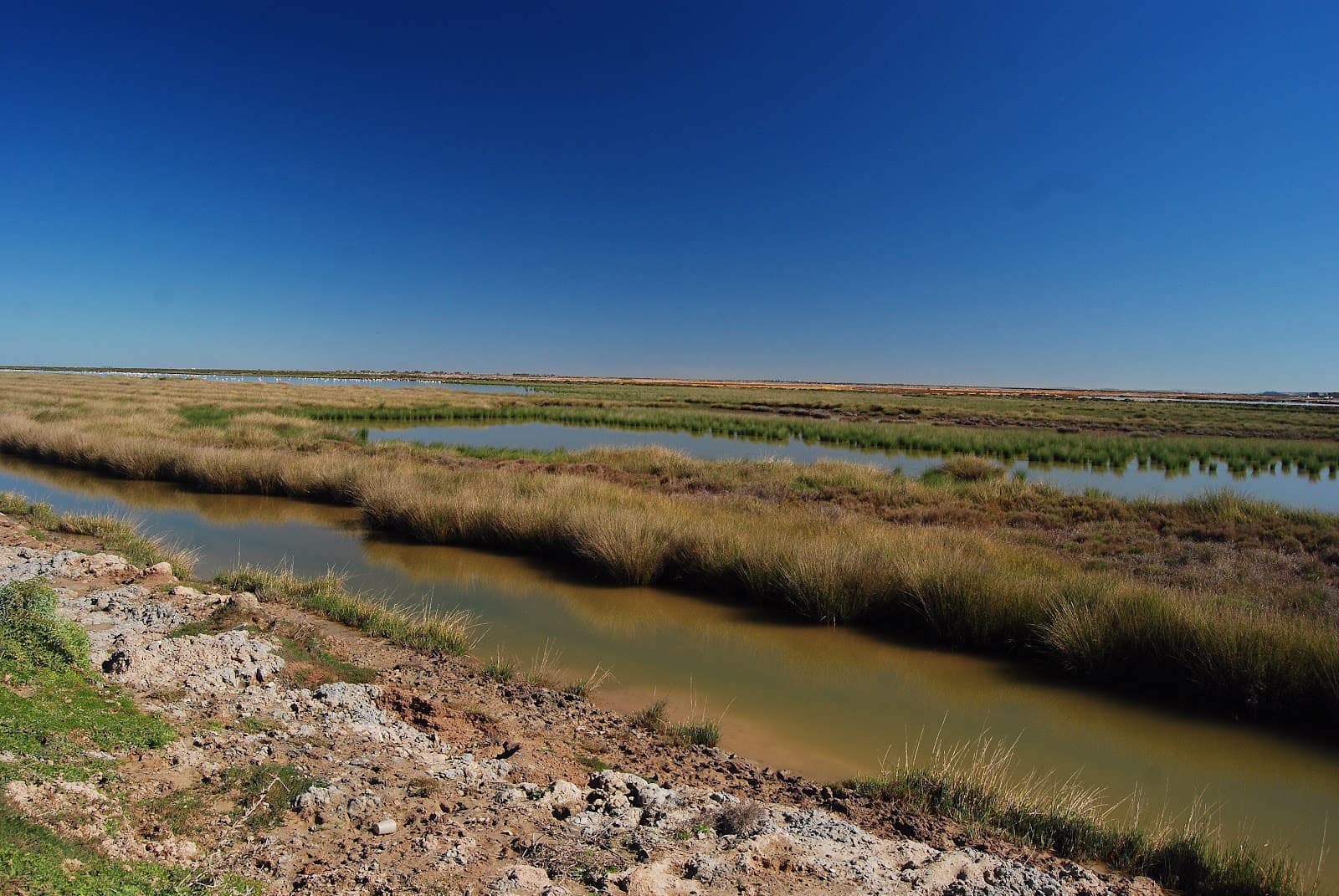 Salinas de Bonanza - Image 1