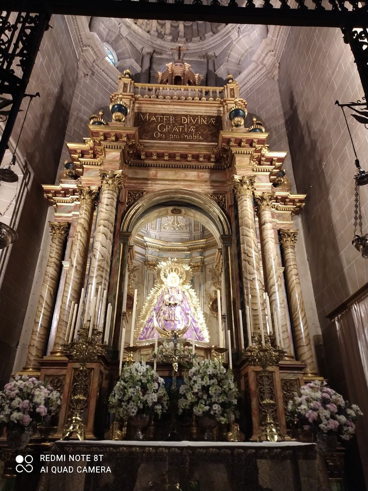 Vega de Carmona - Image 1