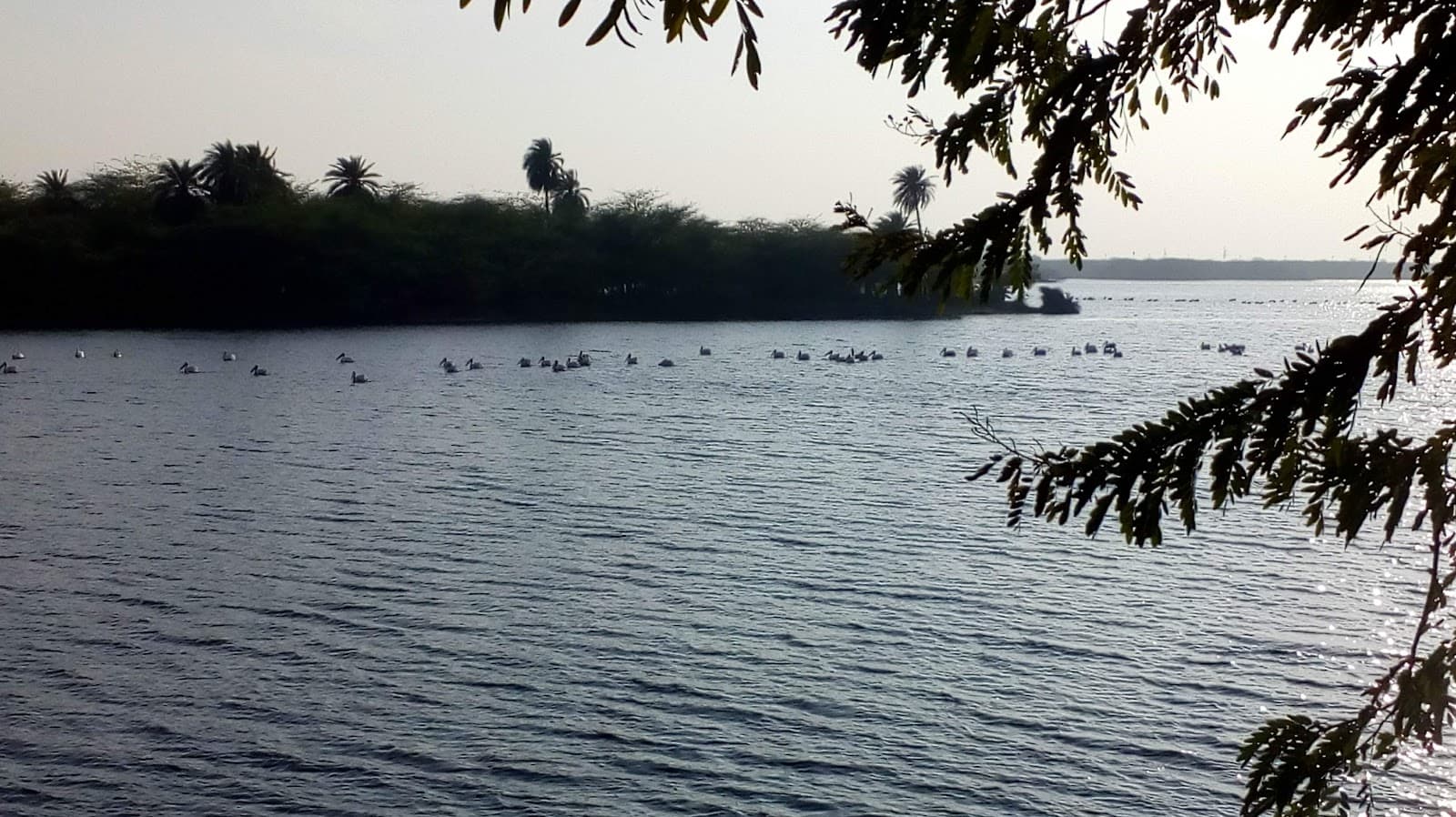 Keetham Lake Sur Sarovar - Image 1