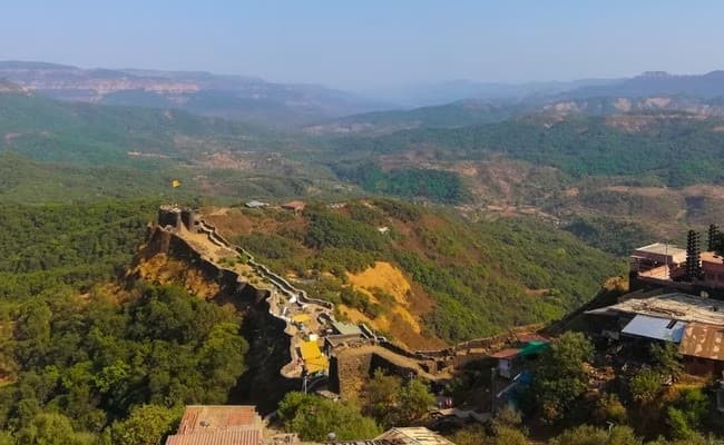 Koyna Wildlife Sanctuary - Image 1
