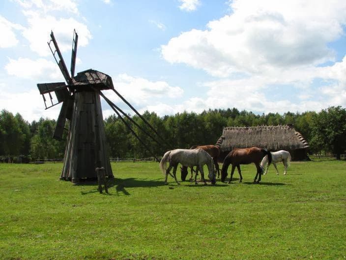 Podlaskie Museum of Folk Culture - Image 1