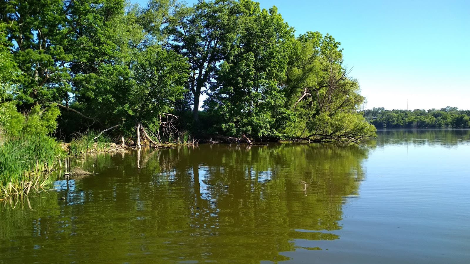 Cootes Paradise - Image 1