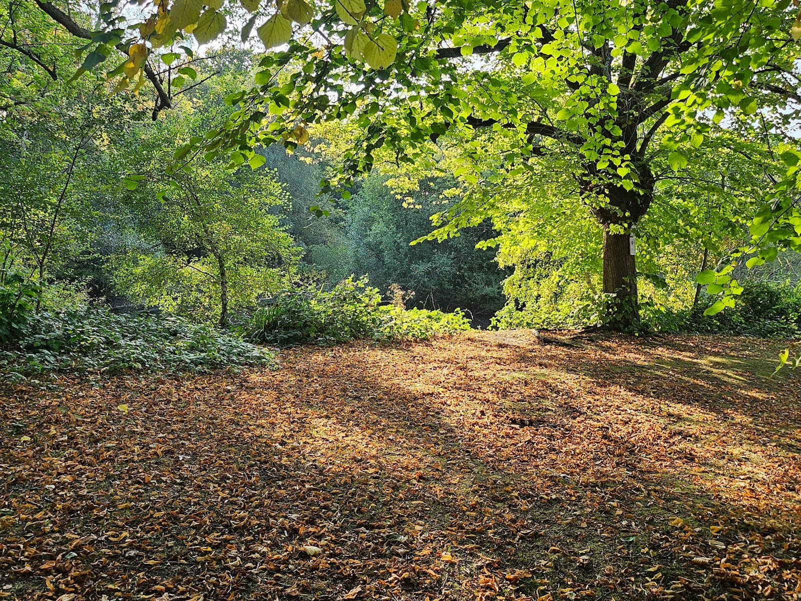 Open Green Spaces
