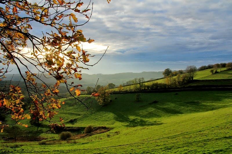 Morvan Regional Natural Park - Image 1