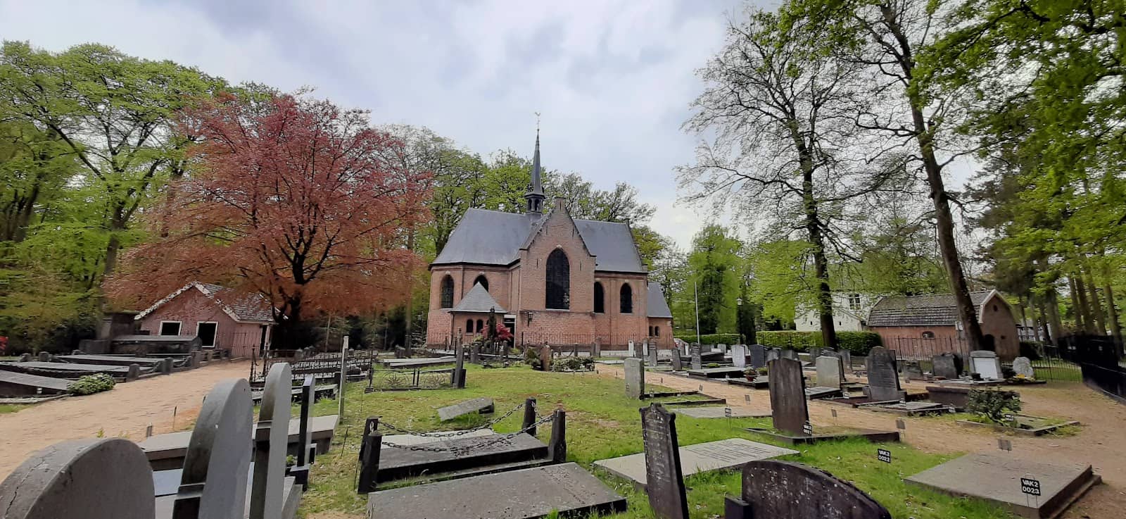 Child-Friendly Dining