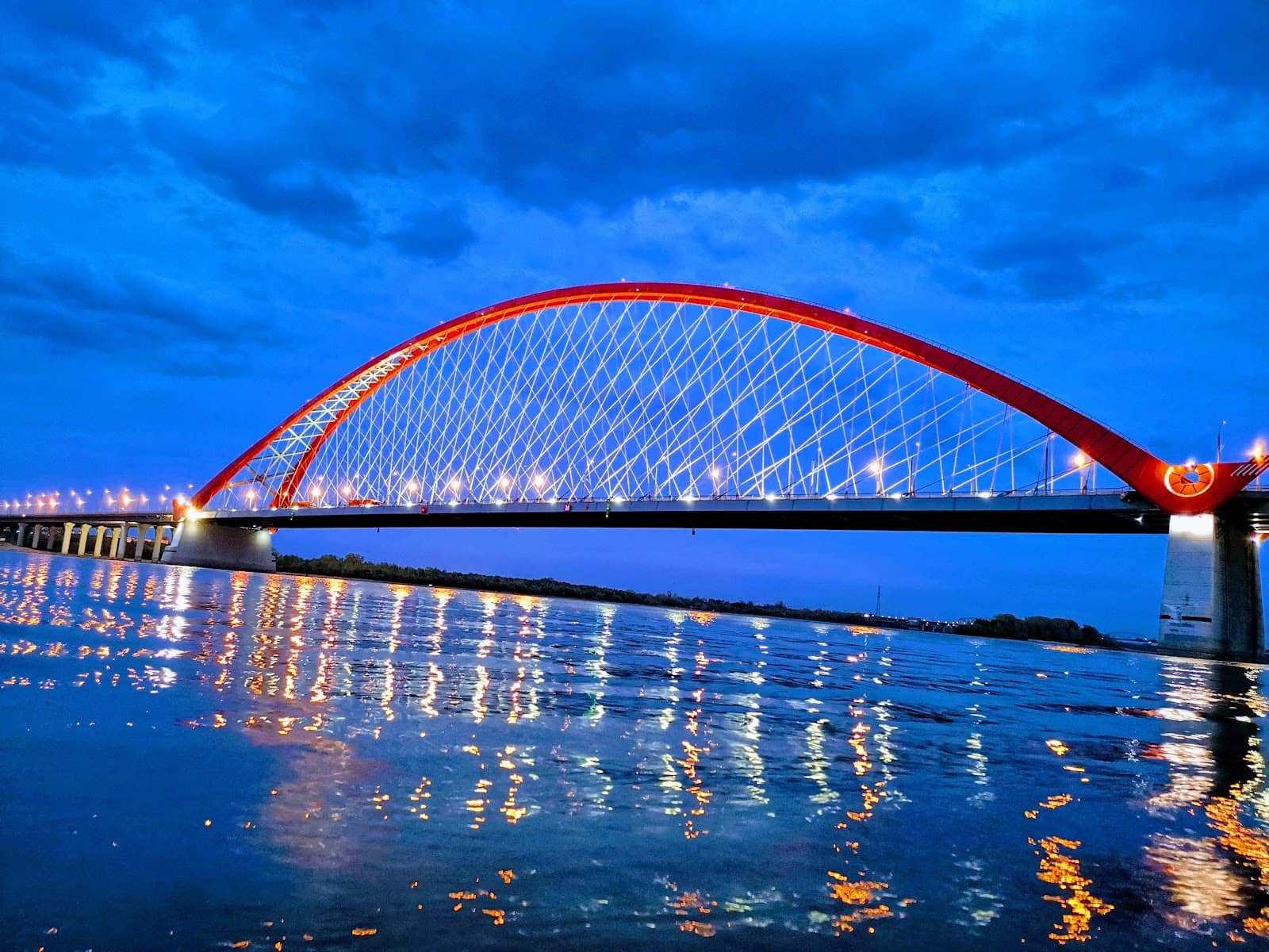 The 'Vineyard' Forest