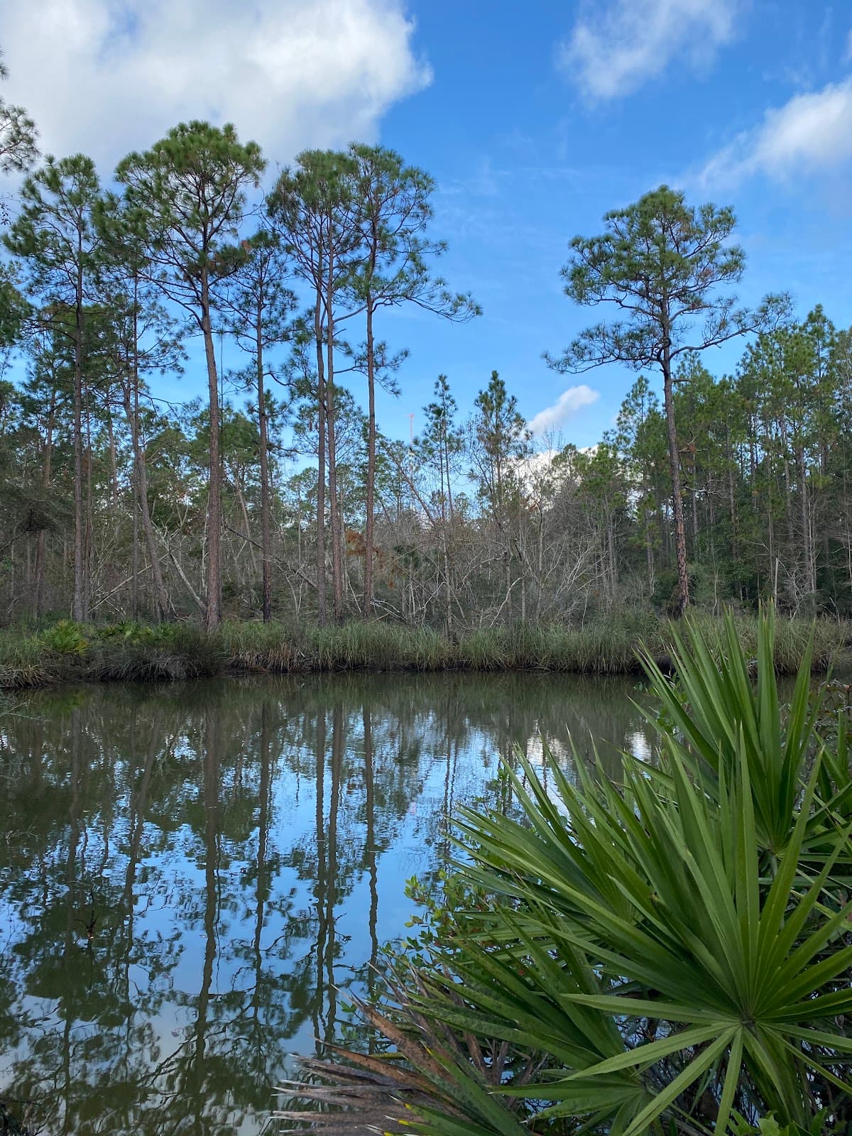 Graham Creek Nature Preserve - Image 1