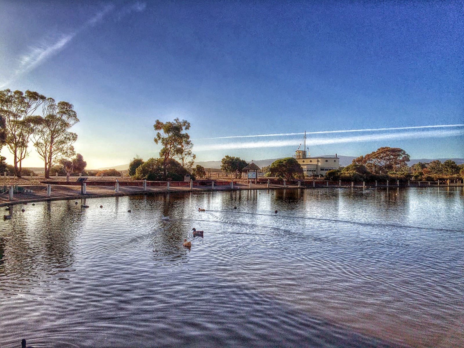 Palo Alto Duck Pond - Image 1