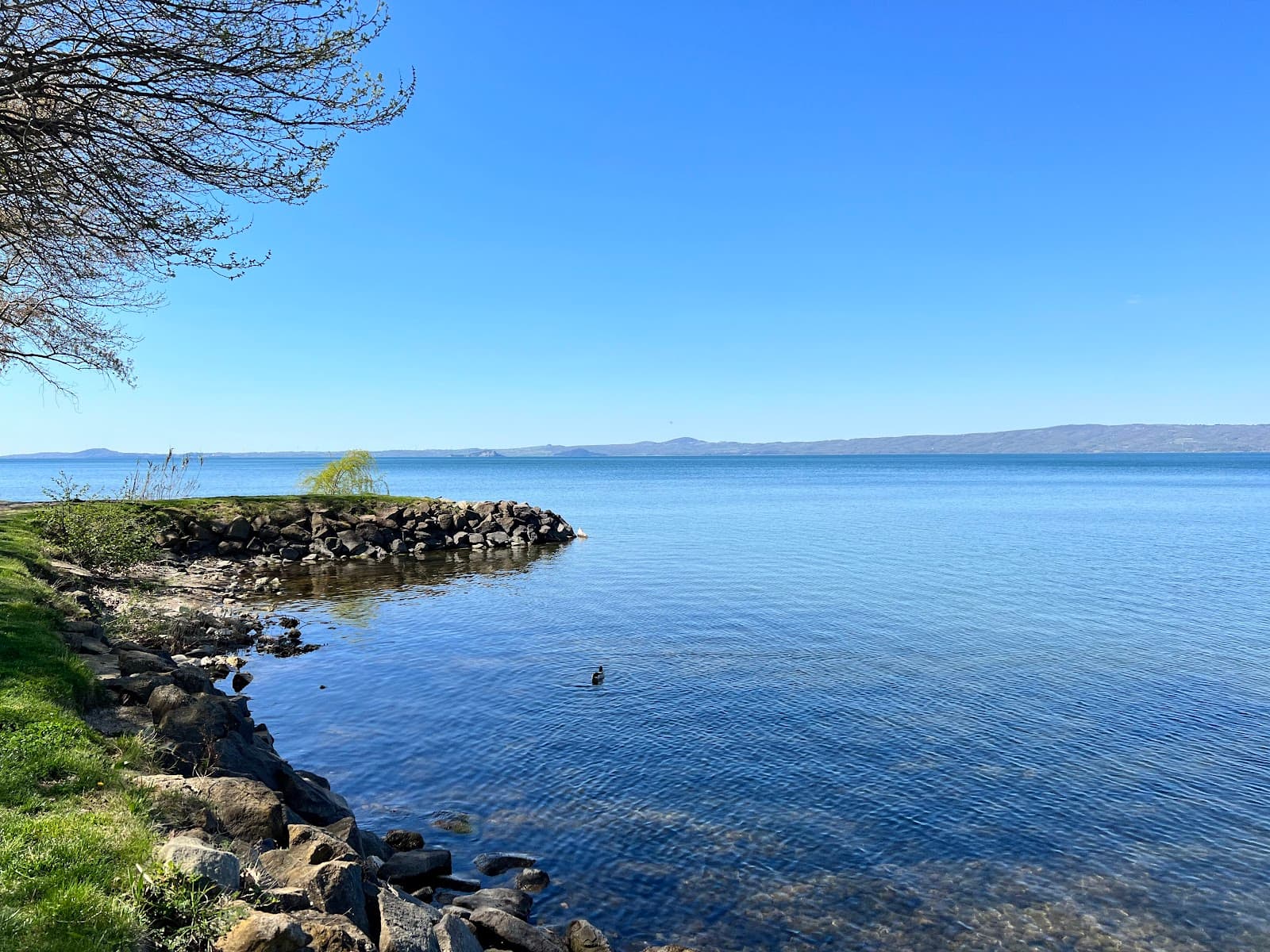 Lungolago di Bolsena - Image 1