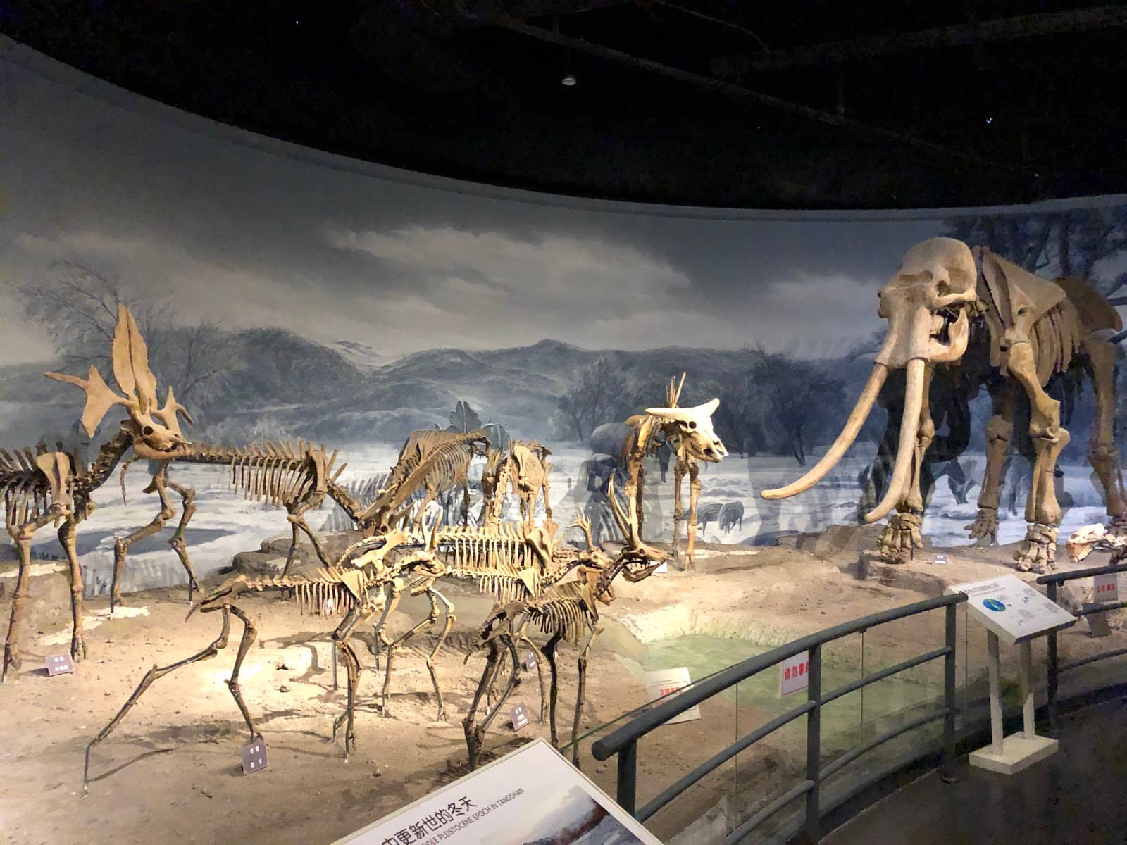 Interactive Displays