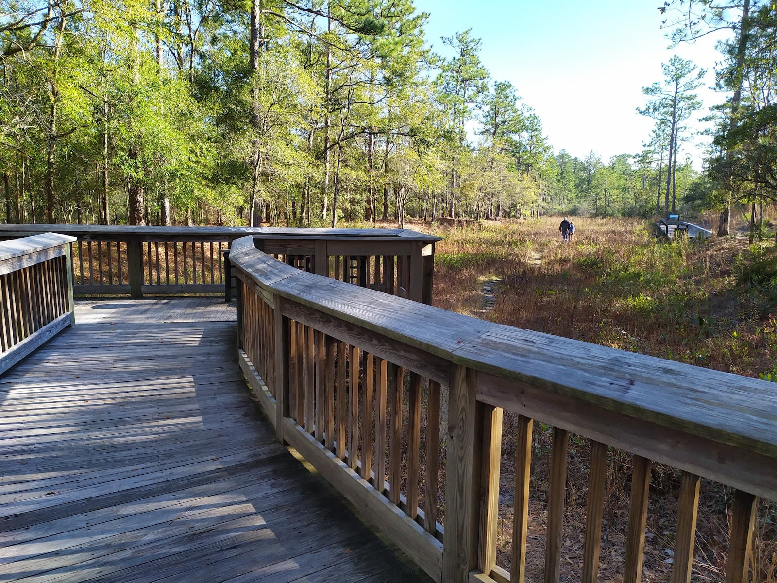 Stanley Rehder Carnivorous Plant Garden - Image 1