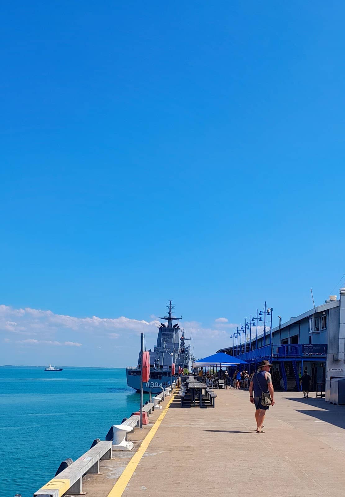 Dolphin & Squid Watching