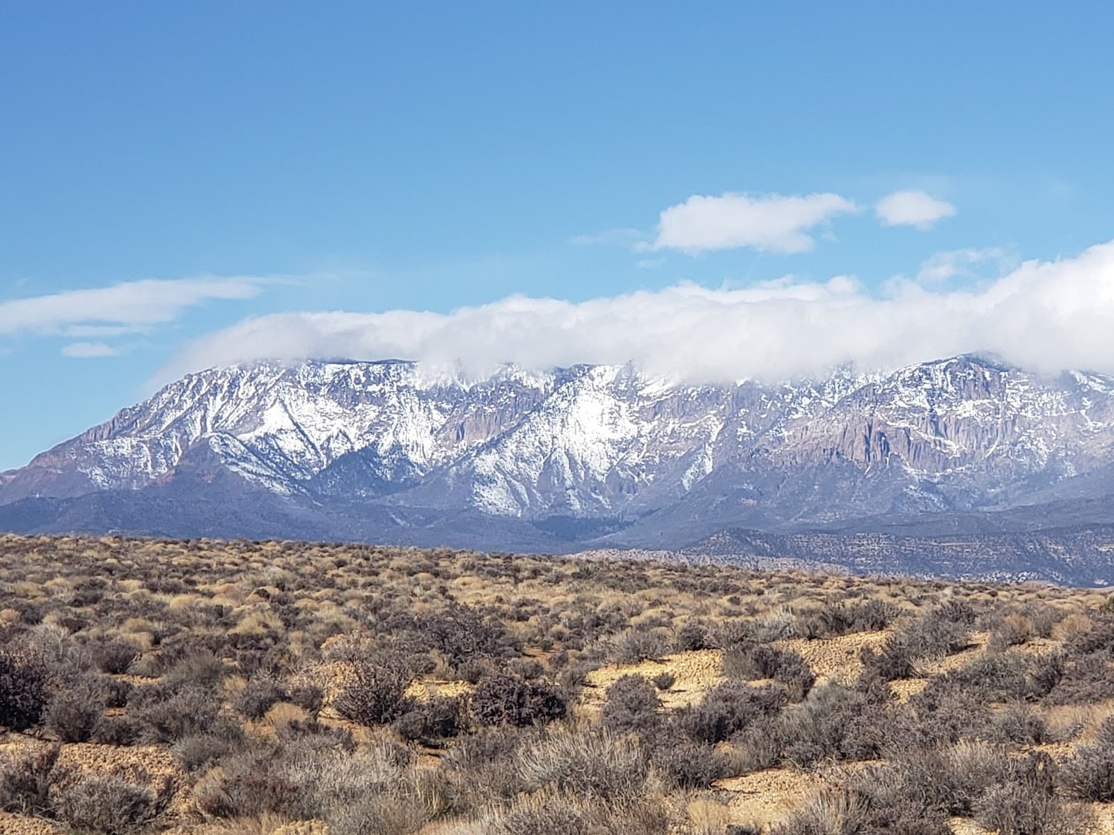 Pine Valley - Image 1