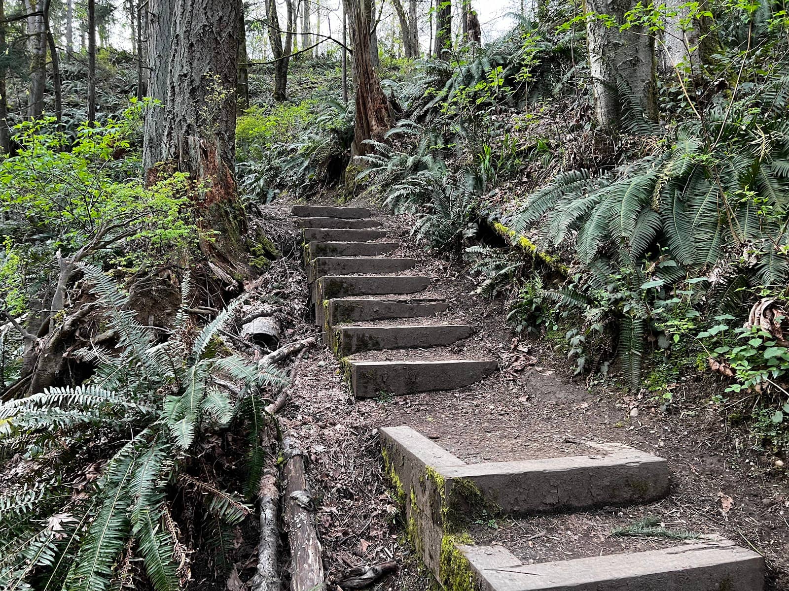Scenic Bridges and Benches