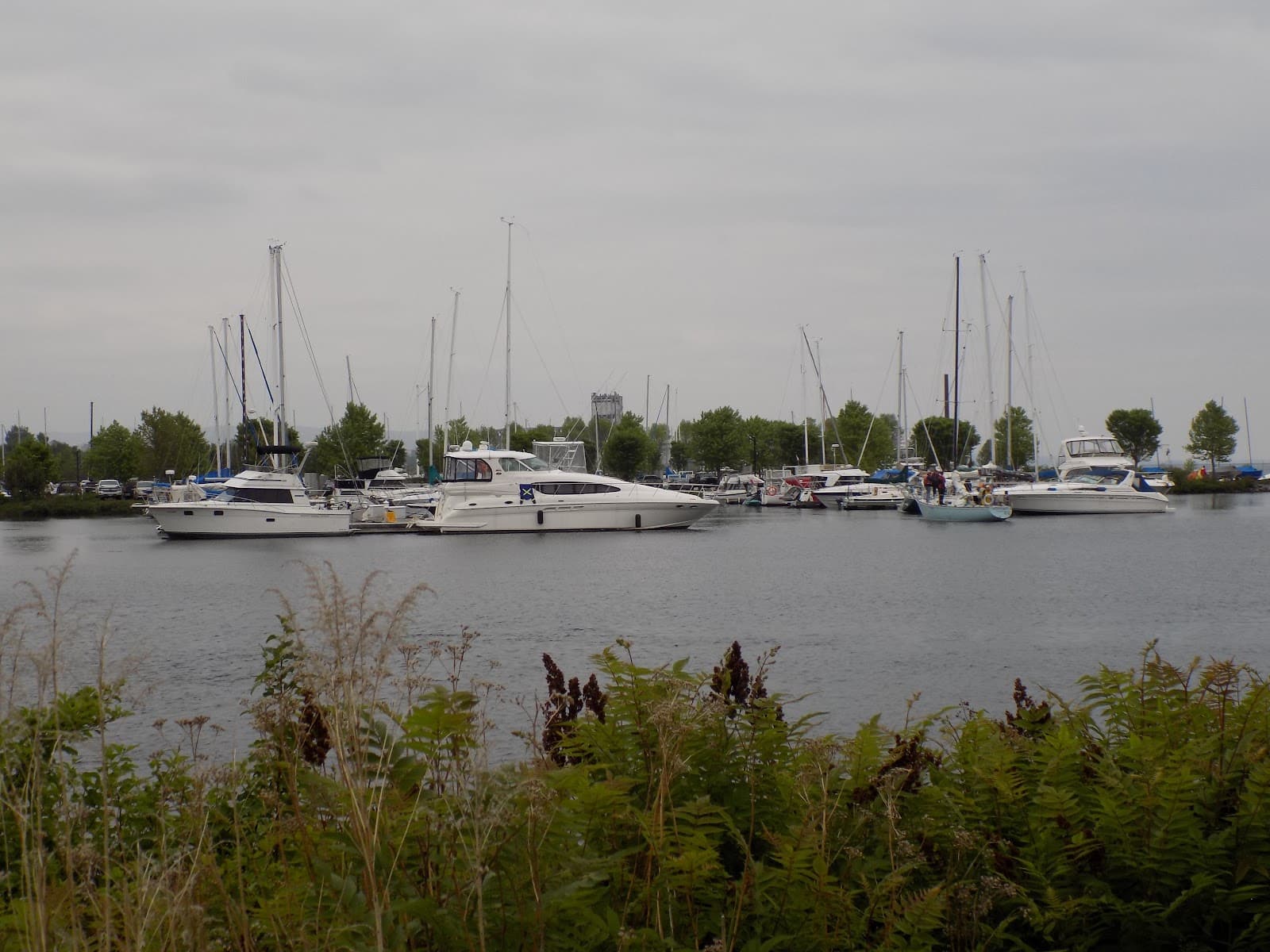 Waterfront District Murals - Image 1
