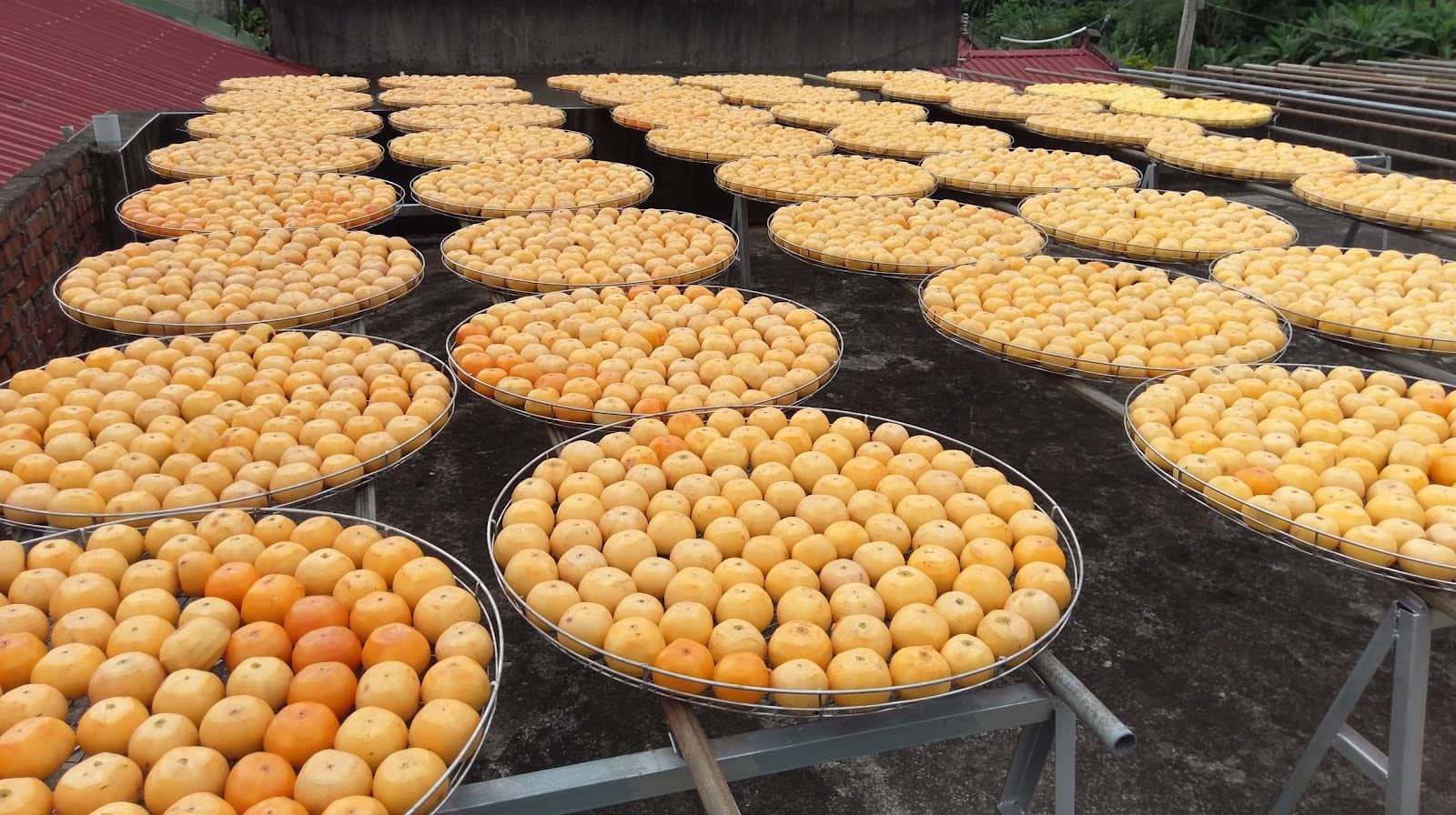 Pesticide-Free Orchard